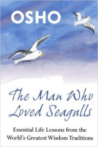 The Man who loved Seagulls