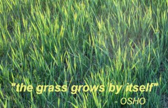 The Grass grows by itself