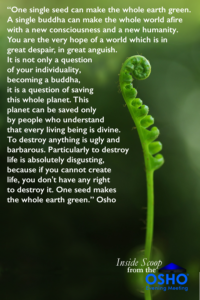 One seed makes the whole earth Green